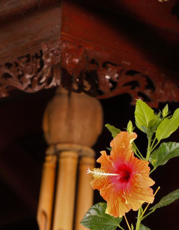 Mahogany Cottage غيلي مينو المظهر الخارجي الصورة