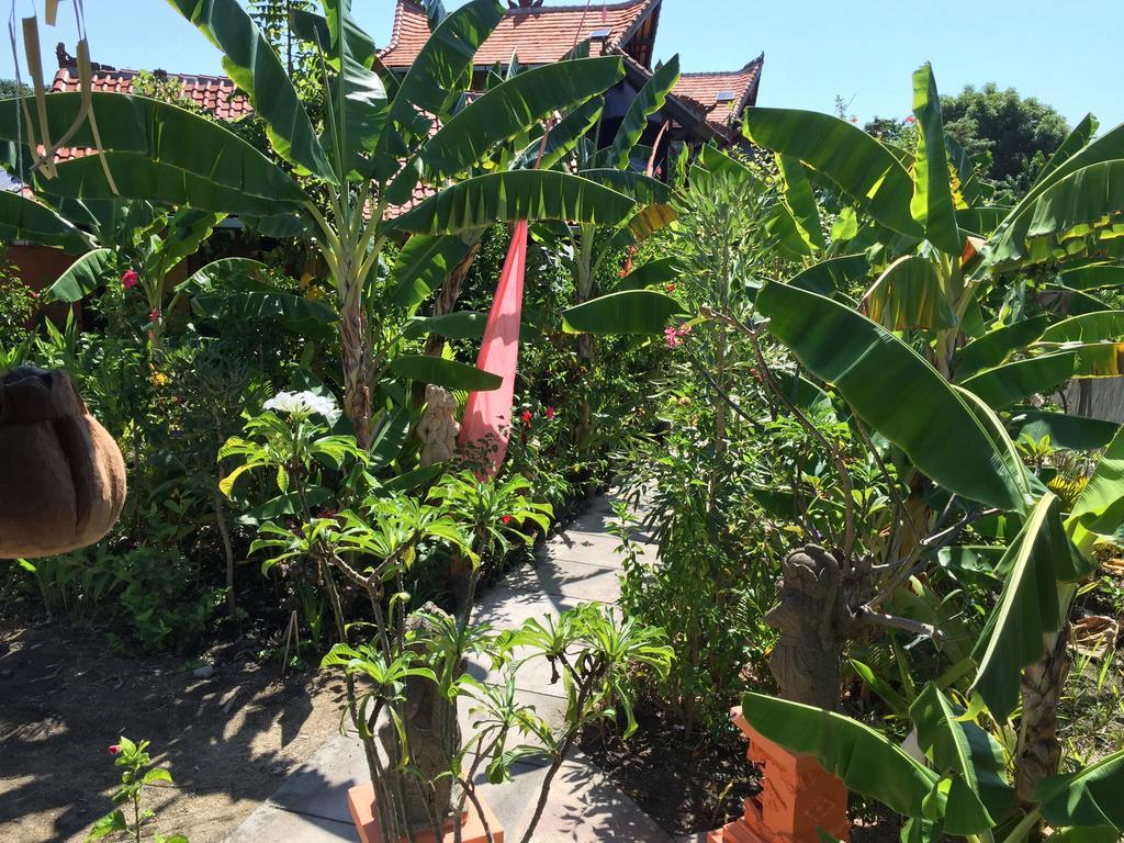 Mahogany Cottage غيلي مينو المظهر الخارجي الصورة